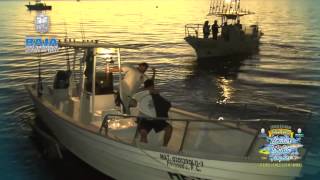 preview picture of video 'Torneo de Pesca Deportiva en Bahía de los Ángeles, Baja California “UNIDOS POR BAHÍA DE LOS ÁNGELES”'