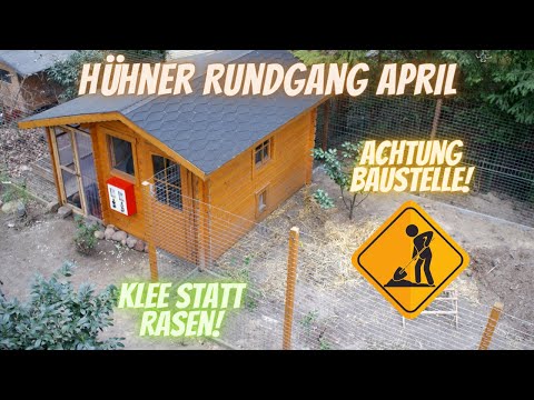 Hühner Rundgang April - Hühnergehege erweitern, Naturbrut, Klee als Nahrungsquelle, Stallpflicht