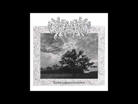 Play Video Youtube Video