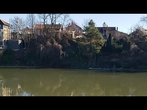 FIDER ILI PLOVAK – LIVE: Zapadna Morava kod Trstenika, BUGINA obala, pomozimo  Damjanu 5. dec 2021.