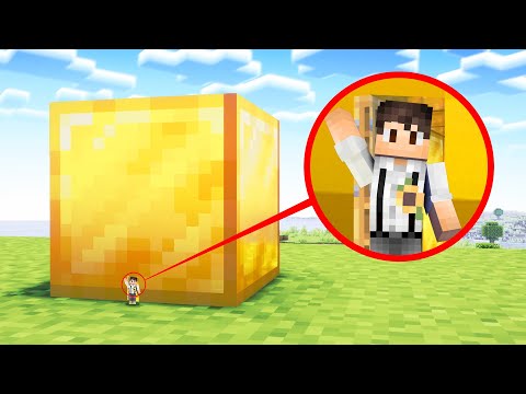 Minecraft, Aber Du Kannst In Jeden Block Gehen