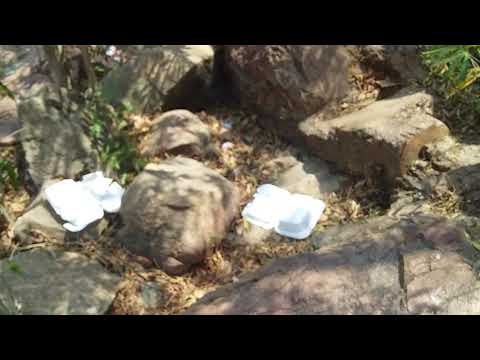 Contaminación Río Guatapurí En Valledupar