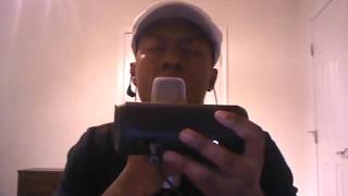 Snarky Puppy - Lingus  Beatbox Cover