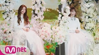 Download lagu IZ*ONE_Beautiful Color│2018 MAMA in HONG KONG 181214 mp3