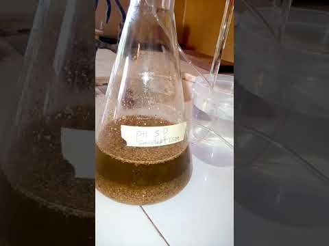 Investigation of Biogas production from mixed substrate (sawdust and rumen fluid)