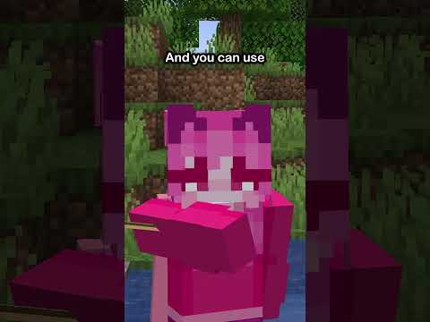 ASHYBEAR EXPOSED: Why Minecraft is TOO EASY!