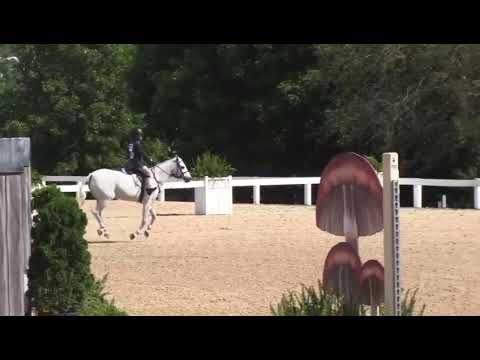 Boca’s Blue Nile video 2
