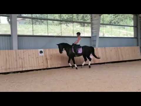 Once Upon a Time, geb 07/18, Bernay - Lomitas xx