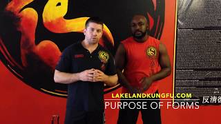 Sifu Och Wing Chun: Purpose of the Form(s)