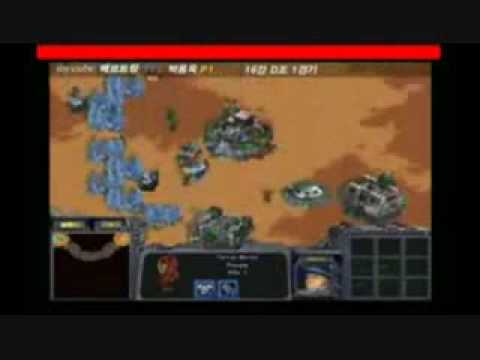 Player Profile #1: Elky, Part 4: Elky vs. Kingdom