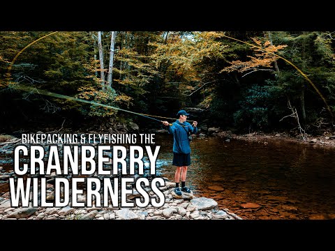 image-How do you get to Cranberry River WV?