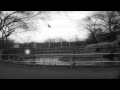 Seals Birds Zebras And Bear During A Strike At Bronx Zoo In New York HD Stock Footage