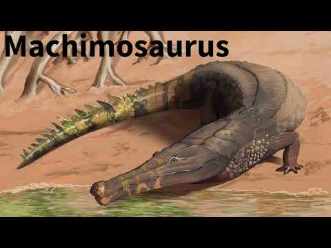 My Favorite Crocodylomorph Dinosaur: Machimosaurus