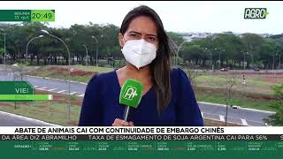 Miniatura do vídeo