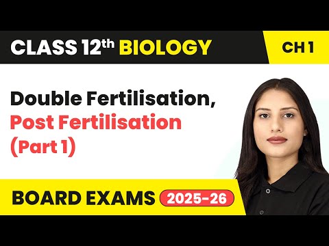 Class 12 Biology Book Overview Complete Strategy Syllabus Overview for Session 2024 25 NCERT