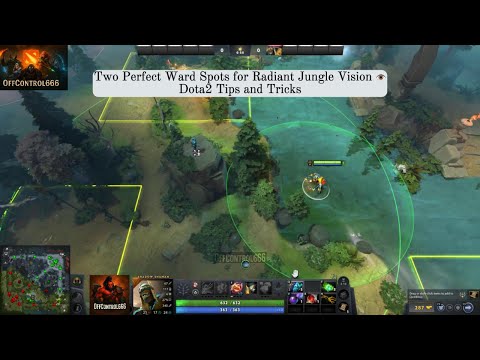 Two Perfect Ward Spots for Radiant Jungle Vision 👁️Dota2 Tips and Tricks