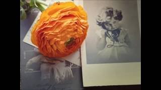 Video Radan PauL   Little girl