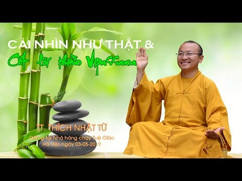 Cái nhìn như thật và cốt lõi thiền Vipassana - TT. Thích Nhật Từ 