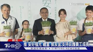 新北庇護禮盒安好植光!DIY種植體驗