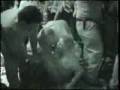 Marilyn Manson - MM - The Death Song 