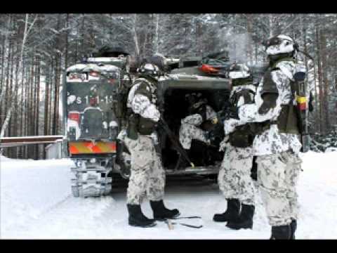 Kaakko 2010 / Finnish Army Training 2010