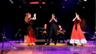 Bulerías, Flamenco En Marcha.mov