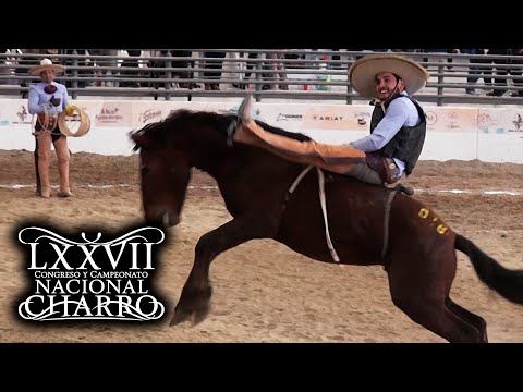 JINETEO DE YEGUA dia 19 (cuartos de final) - Congreso Aguascalientes 2021