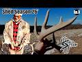 SHED ACTION Shed Season 26 Ep 3 Public Land Shed Hunting