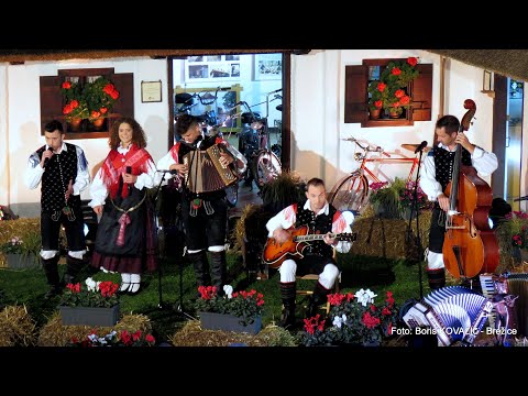 Ansambel Prebrisani muzikanti - V domači vasi (v živo)