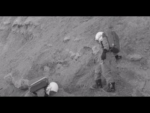 Peking Duk Ft. SAFIA - Take Me Over [OUT NOW]