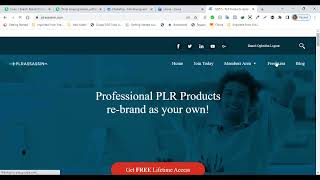 HOW TO DELIVER EBOOK LEAD MAGNET WRITING GIG