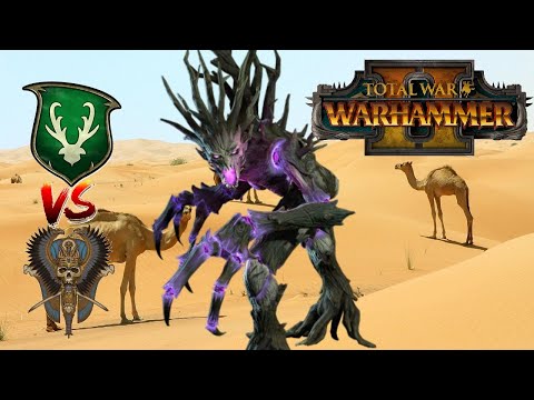 A TREE ENTERS THE DESERT | Wood Elves vs Tomb Kings - Total War Warhammer 2