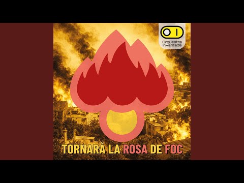 Tornarà la Rosa de Foc