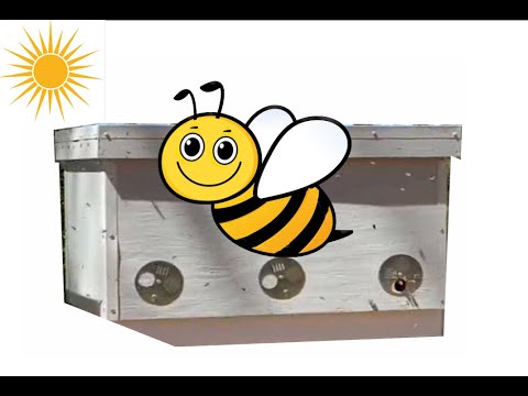 Easy Beekeeping in Horizontal Hives - First Spring Inspection - Emergency Non-sugar Feeding