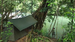 Download lagu Daring solo camping in the middle of the Kalimantan forest under a large fish warehouse tree mp3 Download lagu Daring solo camping in the middle of the Kalimantan forest under a large fish warehouse tree mp3