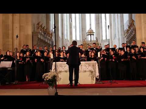 Gloria Dei - Tu esti Hristos