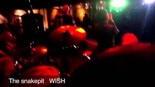 The Snakepit (The Cure Cover) Wish