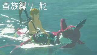 【ブレワイ縛り】リンク、ゾーラの鎧着てないゾ？！【#2】