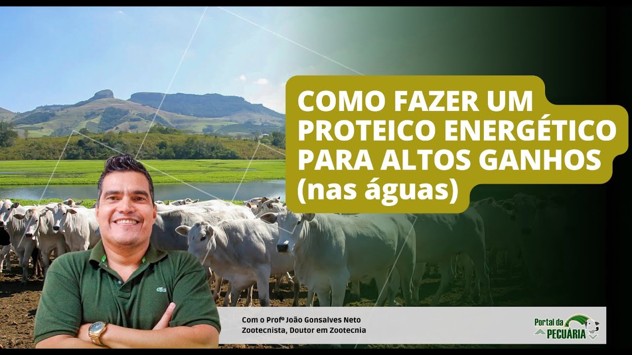 Como fazer um proteico energético para altos ganhos (nas águas)