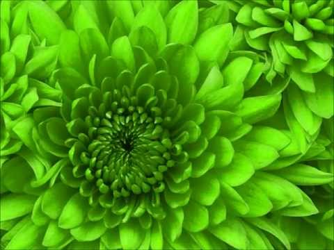 Nastia with Petr Muk - Apples