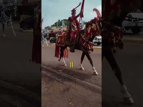 Desfile cavalhadas de Corumbá de Goiás  #culturapopular