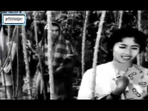 OST Sri Mersing 1961 - Damak ku Sayang  - Siti Mariam