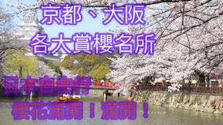 日本賞櫻6日自由行～精華版