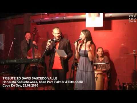 TRIBUTE TO DAVID SAUCEDO VALLE - Kożuchowska, Palmer & Ritmodelia