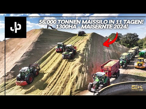 Mais 2024! 🌽 1300HA auf einem Silo! || JP Agrar