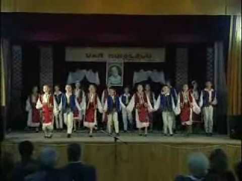 Dan Moisescu 2008 - Partea 1 din 8