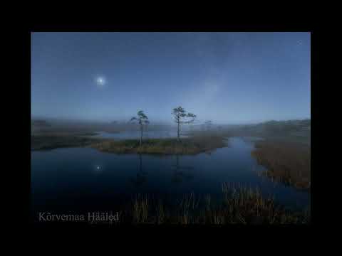 Kõrvemaa Hääled. Fred Jüssi