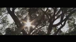 Hugo Leal - Someone in the sky (Official Video)