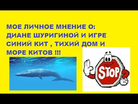 Мое мнение о Шуригине и Синий Кит