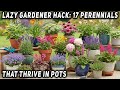 The Ultimate Lazy Gardener Hack 17 Perennials That THRIVE In Pots With Almost No Effort